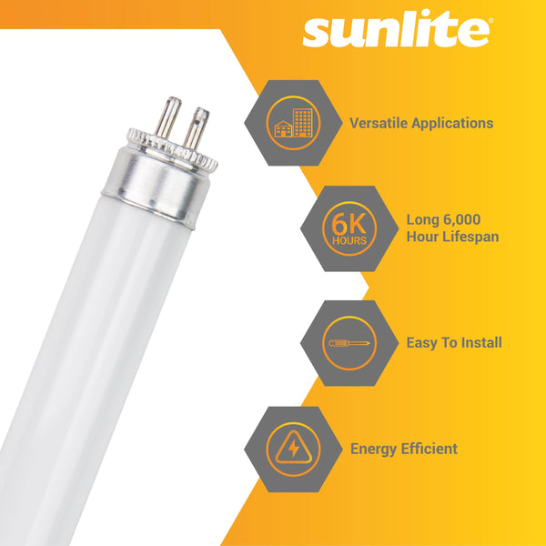 Best Halogen Bulbs - Quick Guide | Desk Doctor