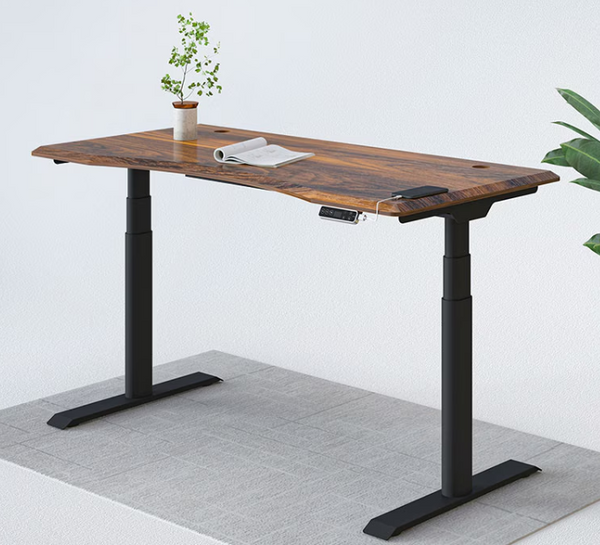 Best Standing Desks Under $600 in 2026: 7 Ranked Picks