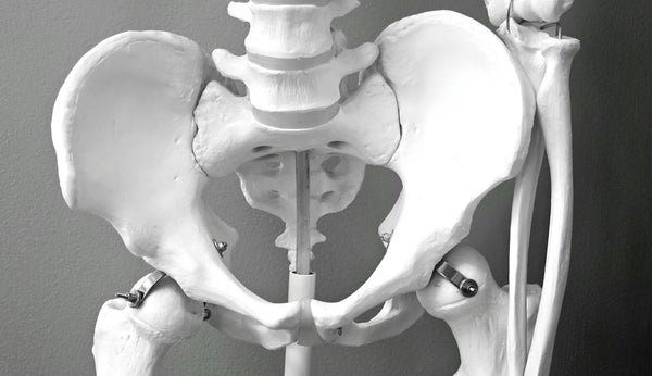Image of tailbone- DeskDoctor - tailbone pain from sitting at desk