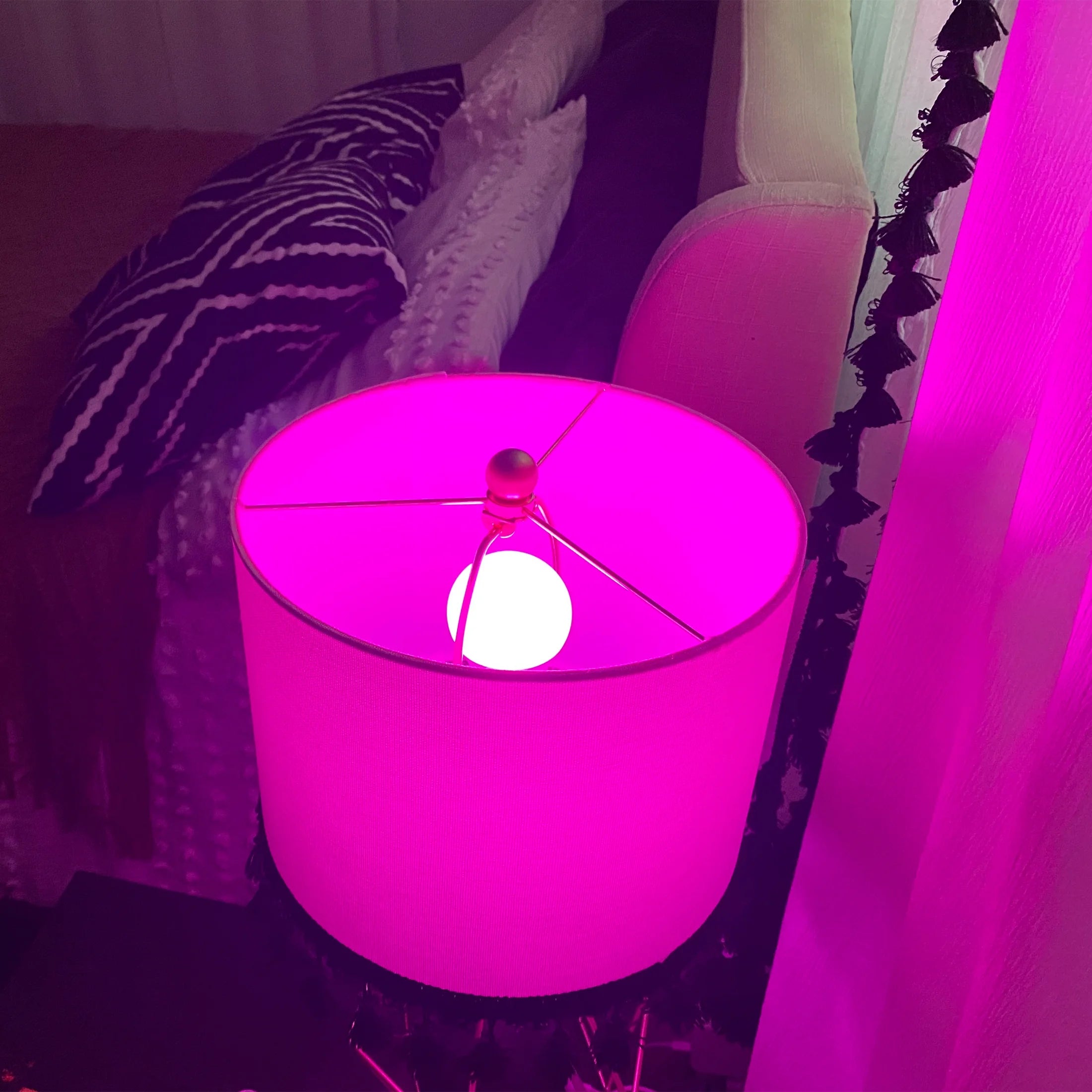 Smart LED 9 Watt (60 Watt Eq.) Color Changing/Tunable White Light Bulb, A19, E26, Dimmable