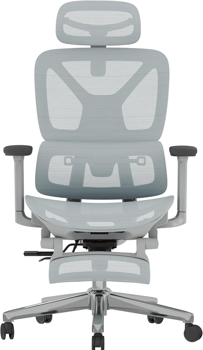 FLEXISPOT ErgoX Premium Ergonomic Office Chair with Footrest- Adjustable 3D Armrests, Dynamic Lumbar Support, Recline & Tilt Function, Mesh Seat, for Home & Office Use