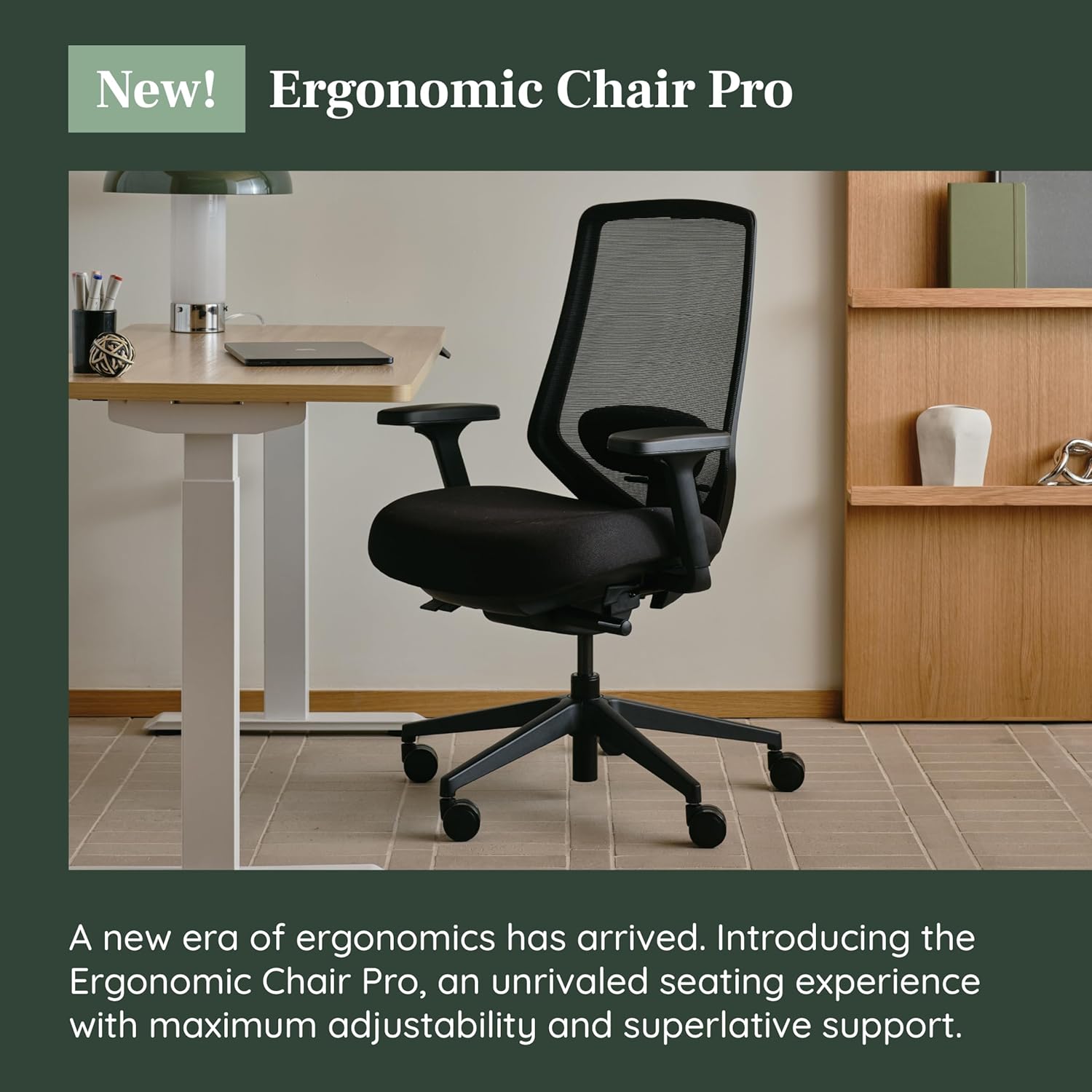 Branch Ergonomic Chair Pro - Mesh Office Chair with 14 Points of Adjustment - Height, Depth & Tilt Adjustable - 5D Armrests - Forward Tilt, Smooth Recline, and Lumbar Support