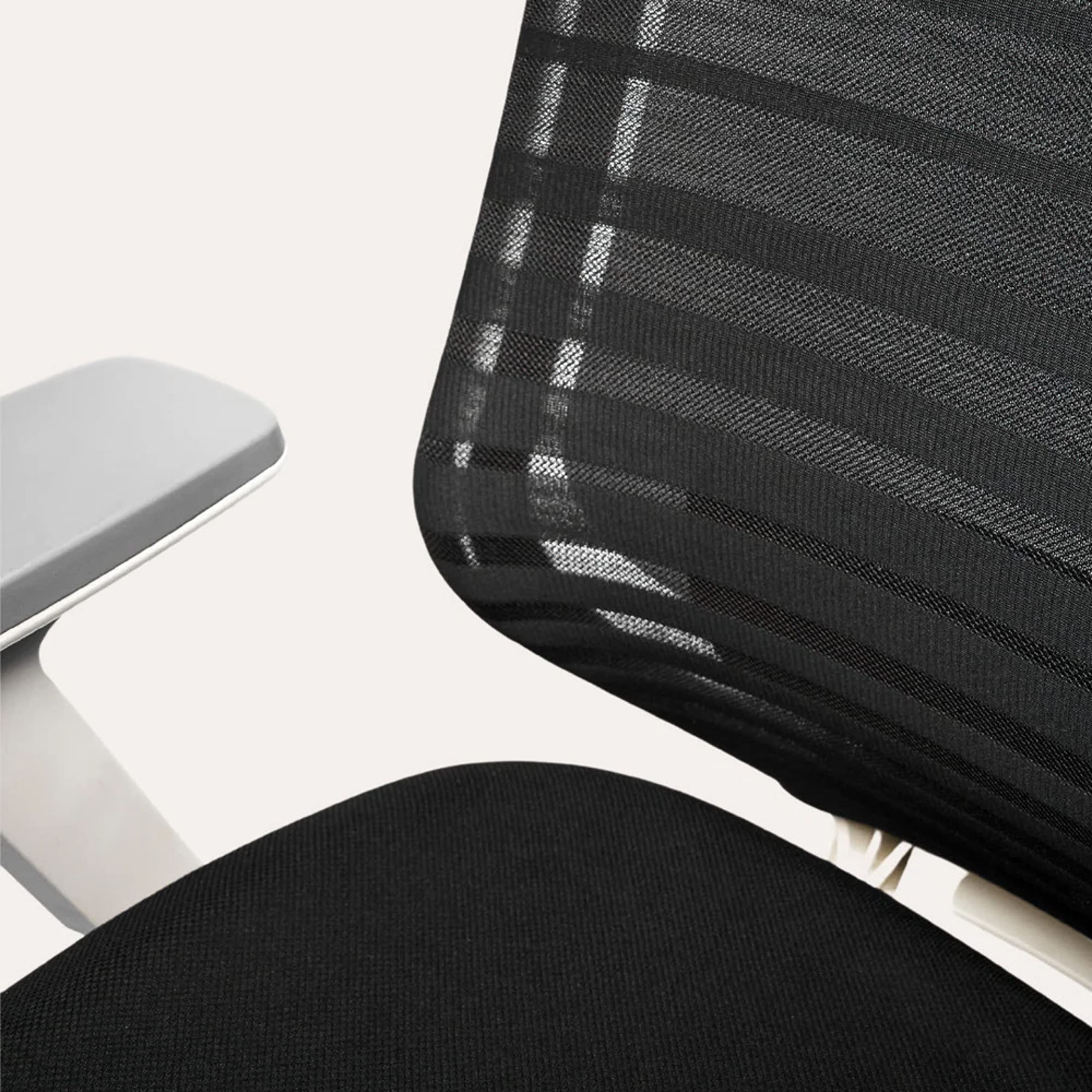 Branch Ergonomic Chair - A Versatile Desk Chair with Adjustable Lumbar Support, Breathable Mesh Backrest, and Smooth Wheels - Experience Optimal Comfort and Support - Black