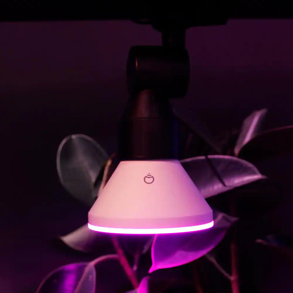 150-Watt Equivalent PAR38 Multi-Color 9000K Wi-Fi LED Light Bulb Works W/Alexa/Hey Google/Homekit Tunable White (1-Pack)