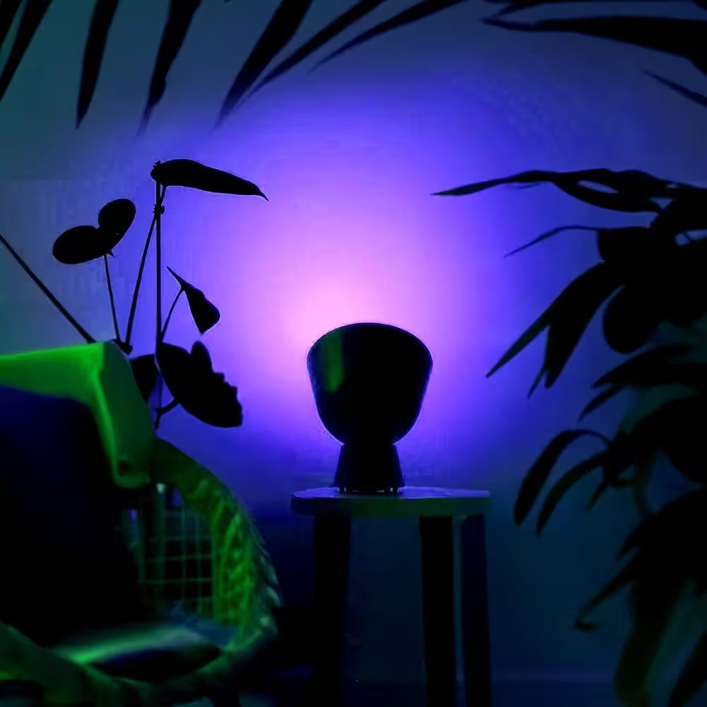 150-Watt Equivalent PAR38 Multi-Color 9000K Wi-Fi LED Light Bulb Works W/Alexa/Hey Google/Homekit Tunable White (4-Pack)