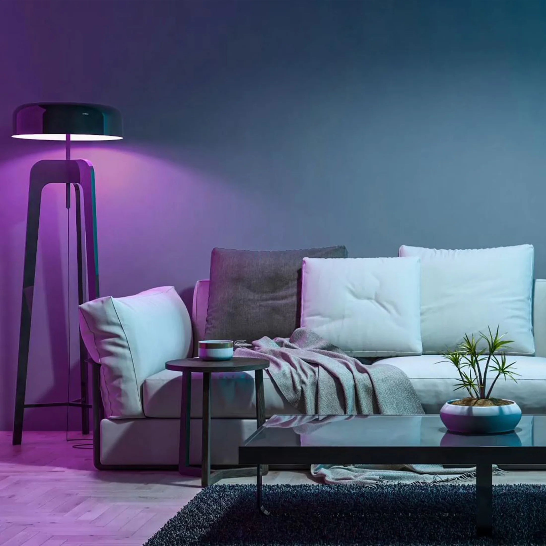 Smart LED 9 Watt (60 Watt Eq.) Color Changing/Tunable White Light Bulb, A19, E26, Dimmable